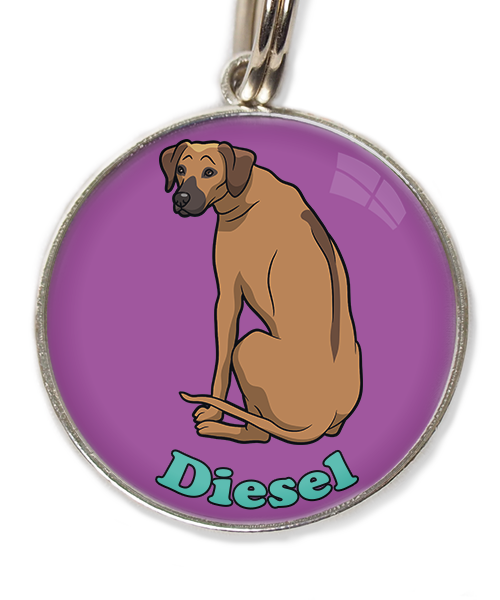 ridgeback-met-naam-los-huisdierpenning-lilla