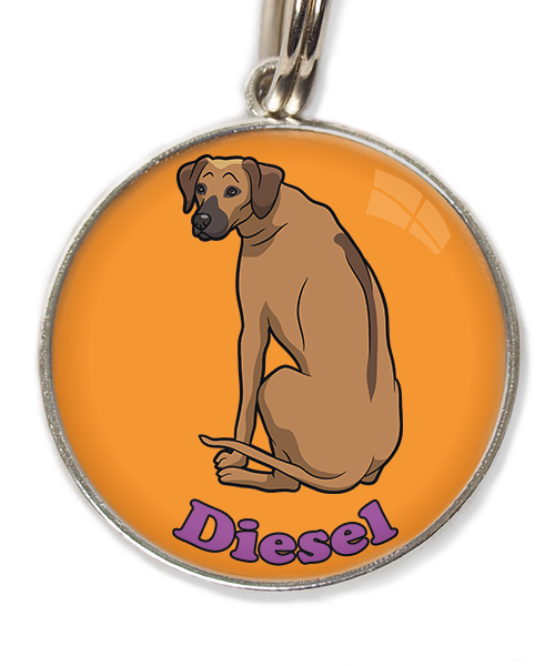 ridgeback-met-naam-los-huisdierpenning-oranje