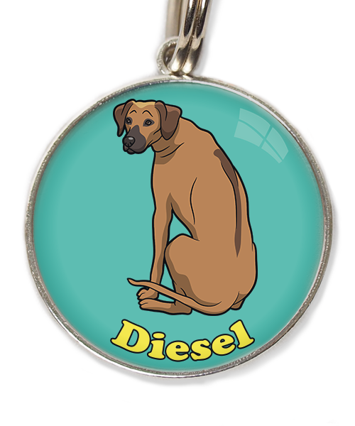 ridgeback-met-naam-los-huisdierpenning-turquoise