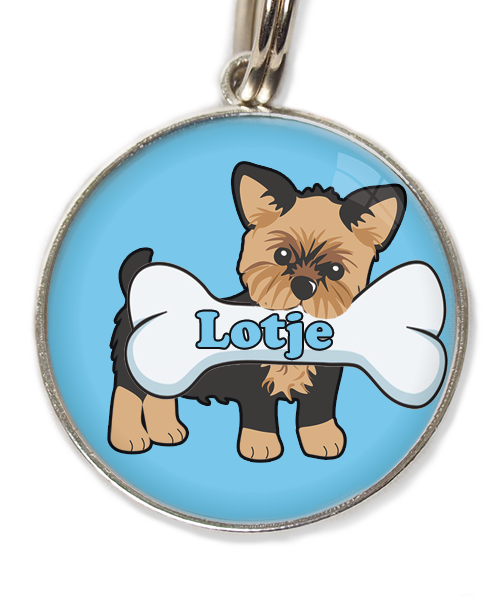 yorkshire-terrier-kort-haar-bruin-zwart-met-naam-been-huisdierpenning-lichtblauw