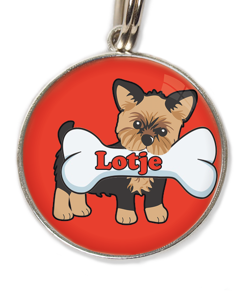 yorkshire-terrier-kort-haar-bruin-zwart-met-naam-been-huisdierpenning-rood