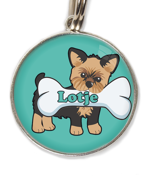 yorkshire-terrier-kort-haar-bruin-zwart-met-naam-been-huisdierpenning-turquoise