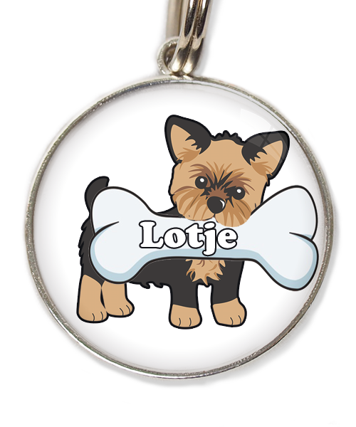 yorkshire-terrier-kort-haar-bruin-zwart-met-naam-been-huisdierpenning-wit