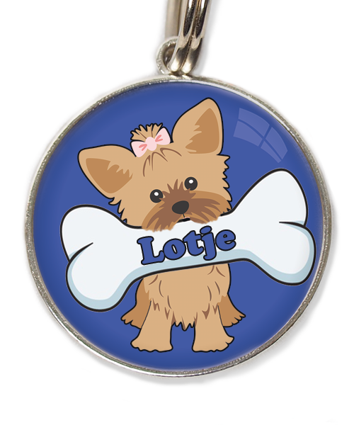 yorkshire-terrier-korthaar-bruin-met-naam-been-huisdierpenning-blauw