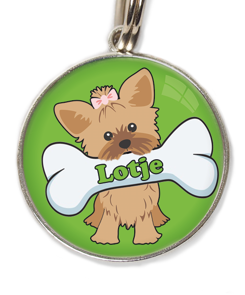 yorkshire-terrier-korthaar-bruin-met-naam-been-huisdierpenning-groen