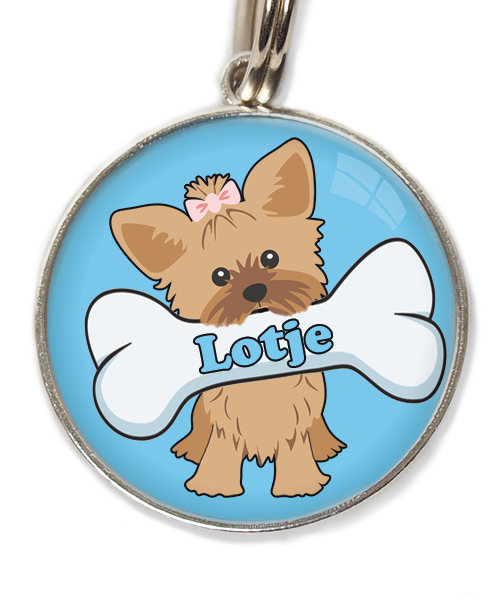 yorkshire-terrier-korthaar-bruin-met-naam-been-huisdierpenning-lichtblauw