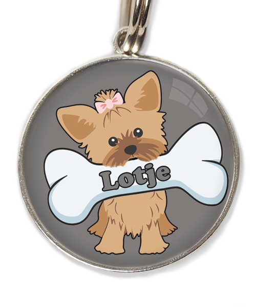 yorkshire-terrier-korthaar-bruin-met-naam-been-huisdierpenning-lichtgrijs