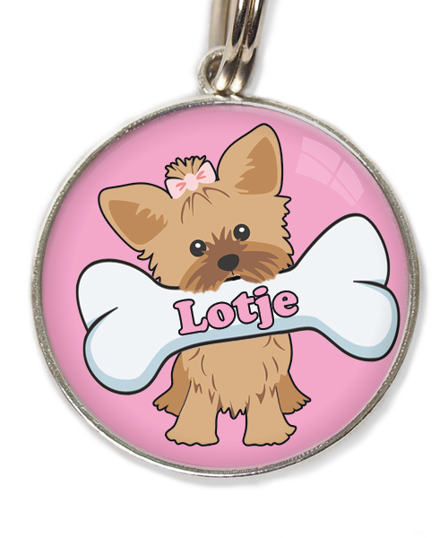 yorkshire-terrier-korthaar-bruin-met-naam-been-huisdierpenning-lichtroos