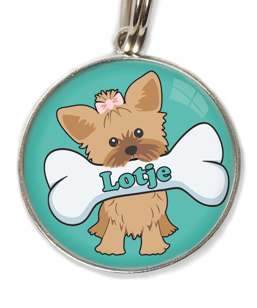 yorkshire-terrier-korthaar-bruin-met-naam-been-huisdierpenning-turquoise