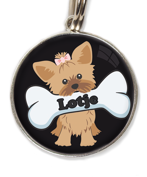 yorkshire-terrier-korthaar-bruin-met-naam-been-huisdierpenning-zwart