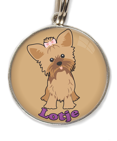 yorkshire-terrier-korthaar-bruin-met-naam-los-huisdierpenning-beige
