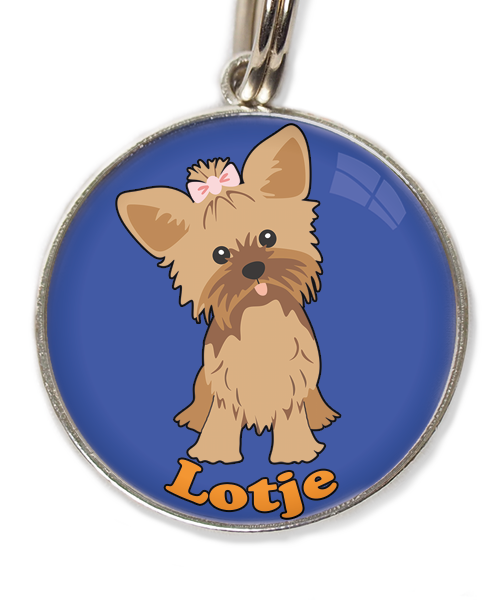 yorkshire-terrier-korthaar-bruin-met-naam-los-huisdierpenning-blauw
