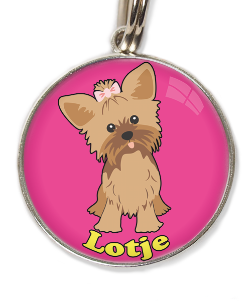 yorkshire-terrier-korthaar-bruin-met-naam-los-huisdierpenning-fushia