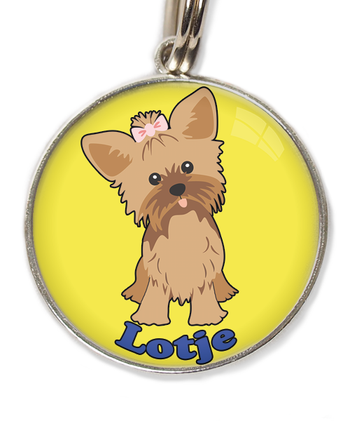 yorkshire-terrier-korthaar-bruin-met-naam-los-huisdierpenning-geel