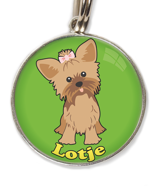 yorkshire-terrier-korthaar-bruin-met-naam-los-huisdierpenning-groen