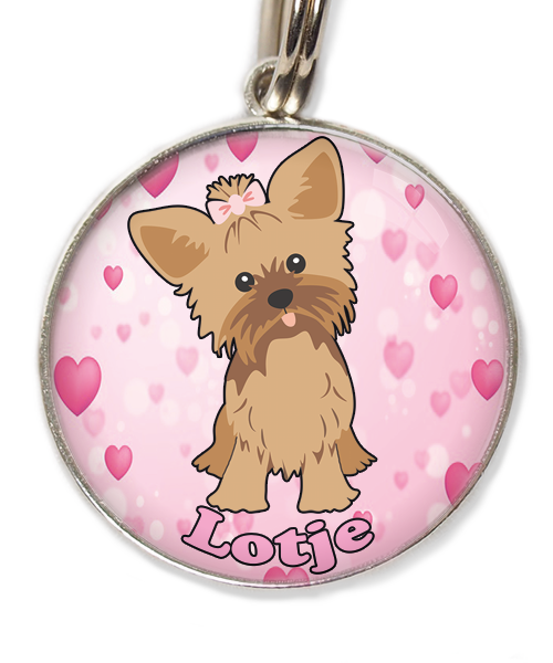 yorkshire-terrier-korthaar-bruin-met-naam-los-huisdierpenning-hartjes