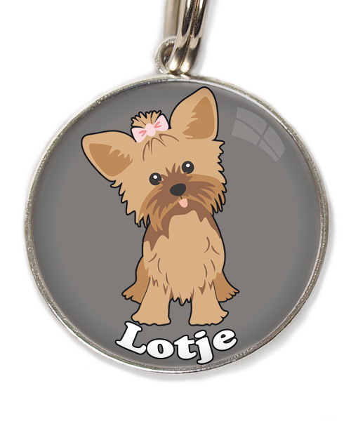 yorkshire-terrier-korthaar-bruin-met-naam-los-huisdierpenning-lichtgrijs