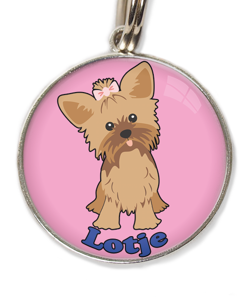 yorkshire-terrier-korthaar-bruin-met-naam-los-huisdierpenning-lichtroos