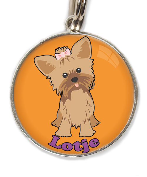 yorkshire-terrier-korthaar-bruin-met-naam-los-huisdierpenning-oranje