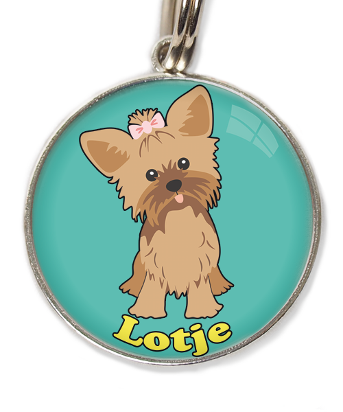 yorkshire-terrier-korthaar-bruin-met-naam-los-huisdierpenning-turquoise