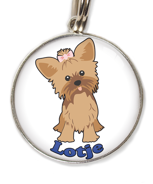 yorkshire-terrier-korthaar-bruin-met-naam-los-huisdierpenning-wit