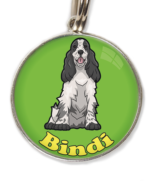 cocker-zwart-wit-met-naam-los-huisdierpenning-groen