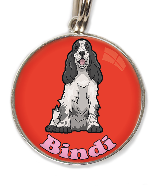 cocker-zwart-wit-met-naam-los-huisdierpenning-rood