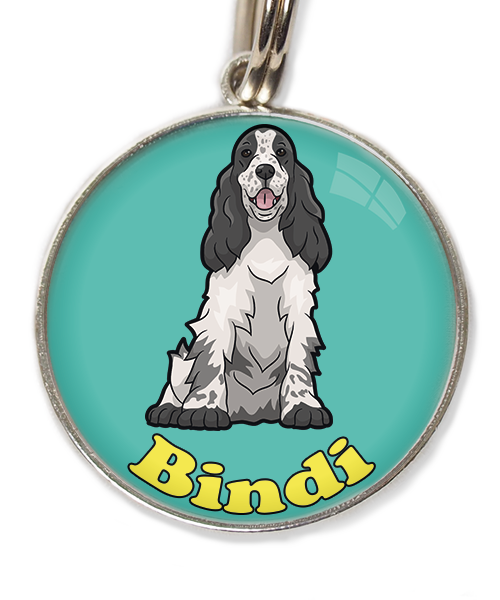 cocker-zwart-wit-met-naam-los-huisdierpenning-turquoise