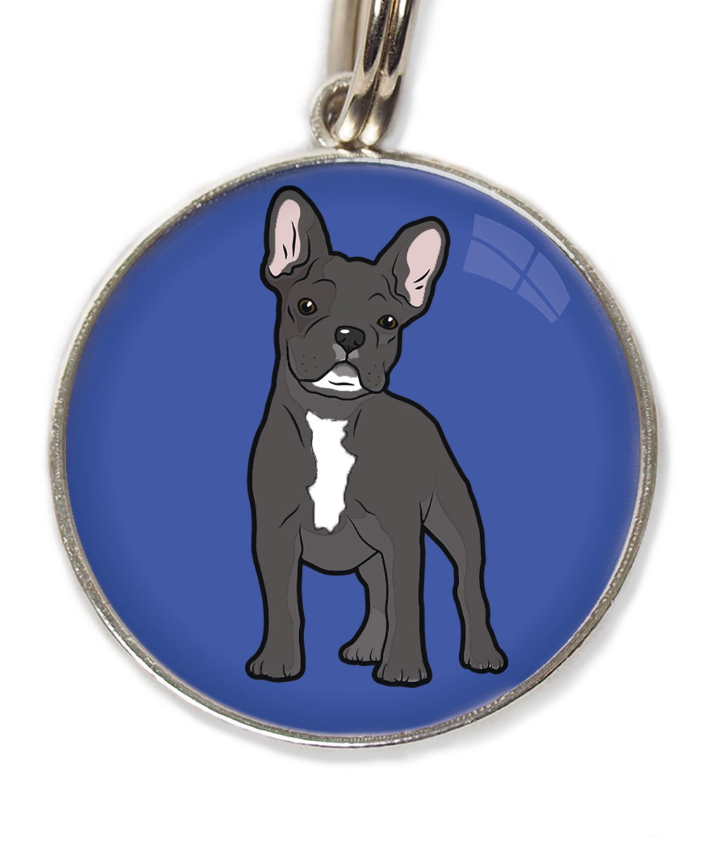 franse-bulldog-witte-sik-witte-borst-huisdierpenning-blauw