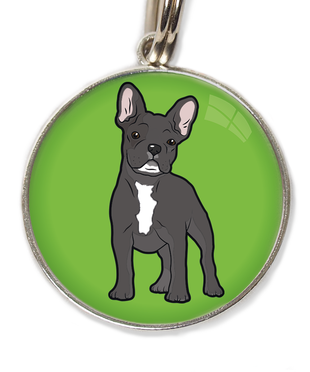 franse-bulldog-witte-sik-witte-borst-huisdierpenning-groen