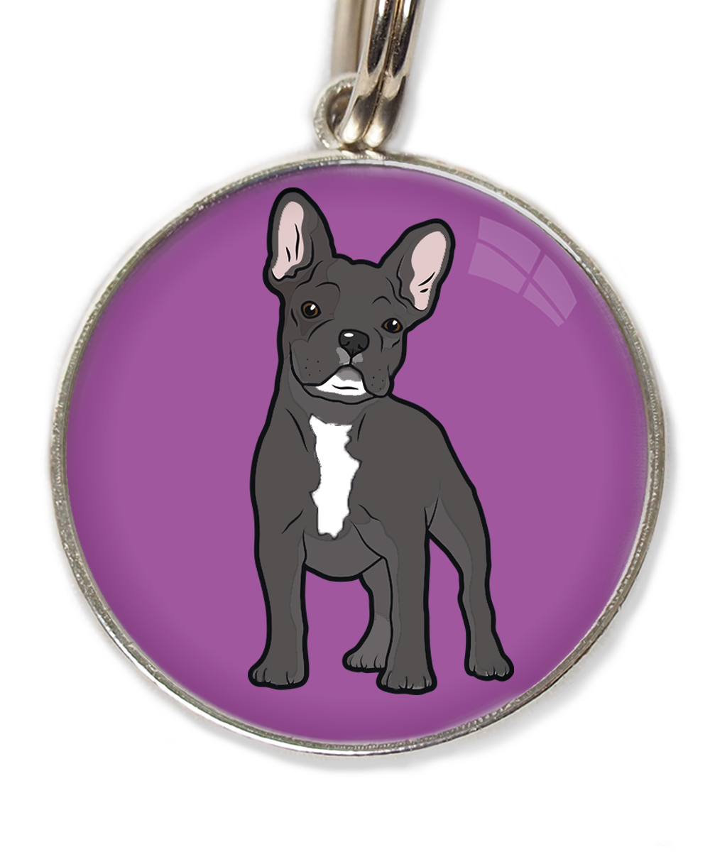 franse-bulldog-witte-sik-witte-borst-huisdierpenning-lilla