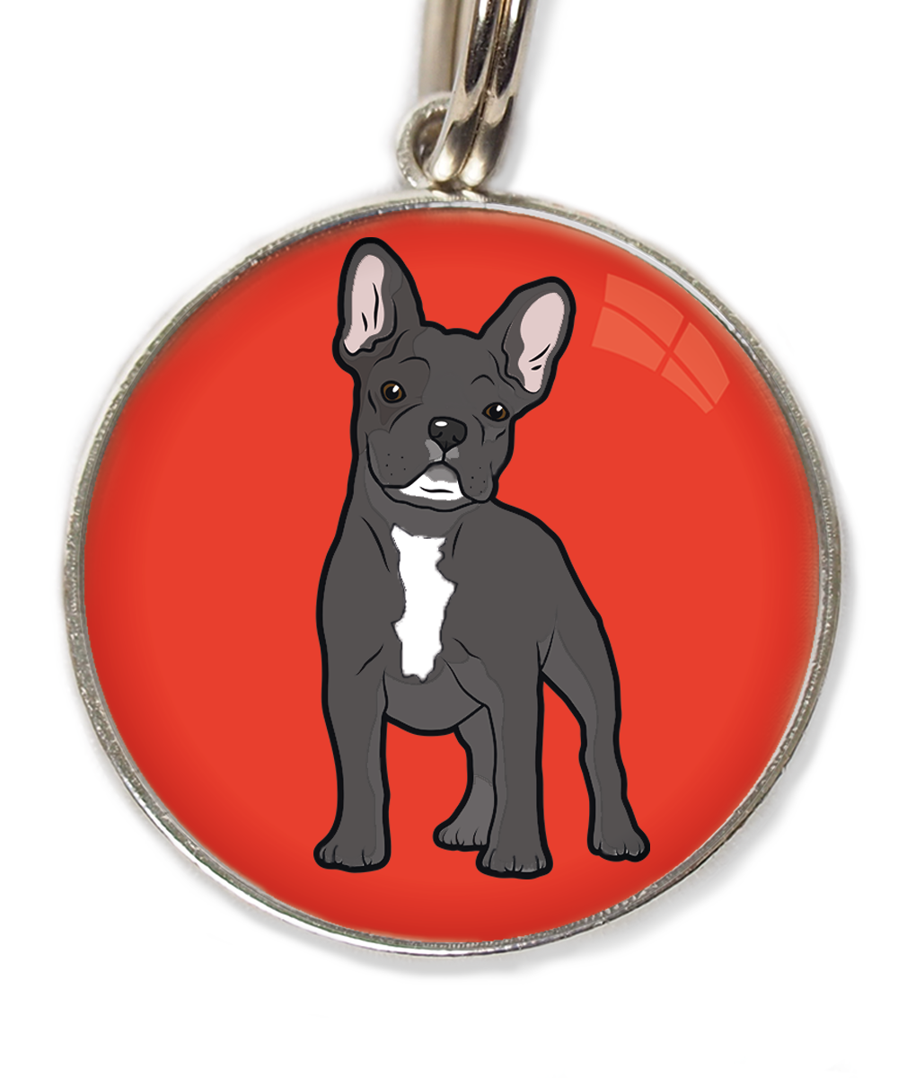 franse-bulldog-witte-sik-witte-borst-huisdierpenning-rood