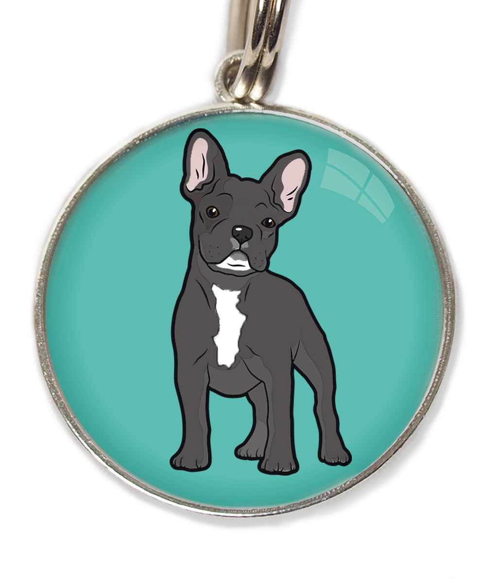 franse-bulldog-witte-sik-witte-borst-huisdierpenning-turquoise