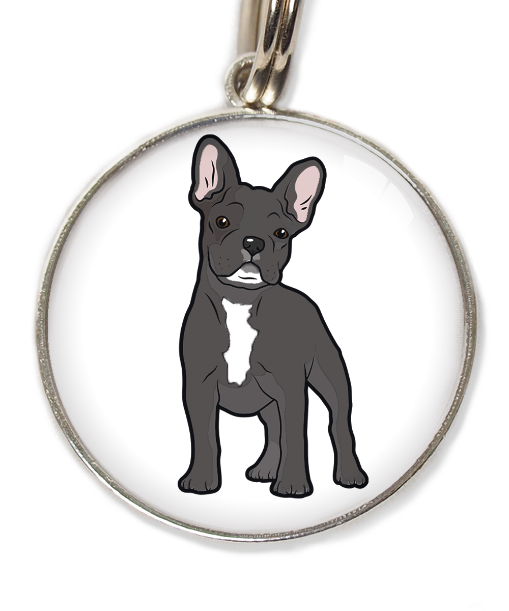 franse-bulldog-witte-sik-witte-borst-huisdierpenning-wit