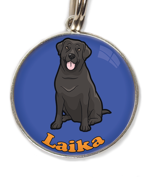 labrador-2-met-naam-los-huisdierpenning-blauw
