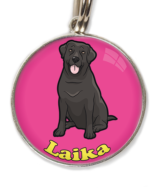 labrador-2-met-naam-los-huisdierpenning-fushia