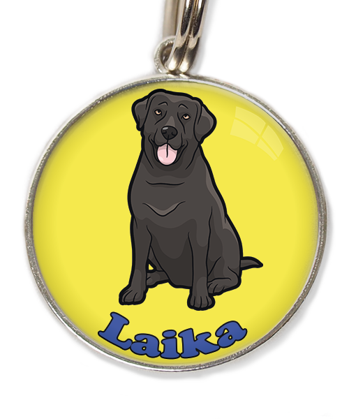 labrador-2-met-naam-los-huisdierpenning-geel