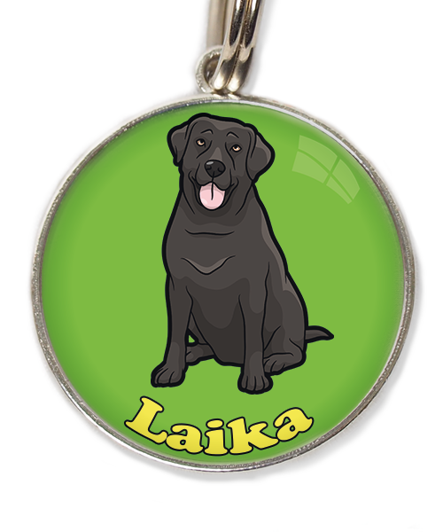 labrador-2-met-naam-los-huisdierpenning-groen