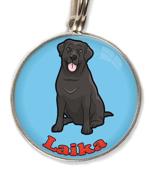 labrador-2-met-naam-los-huisdierpenning-lichtblauw