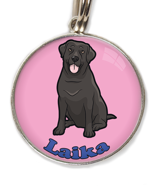 labrador-2-met-naam-los-huisdierpenning-lichtroos