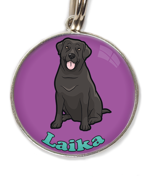 labrador-2-met-naam-los-huisdierpenning-lilla