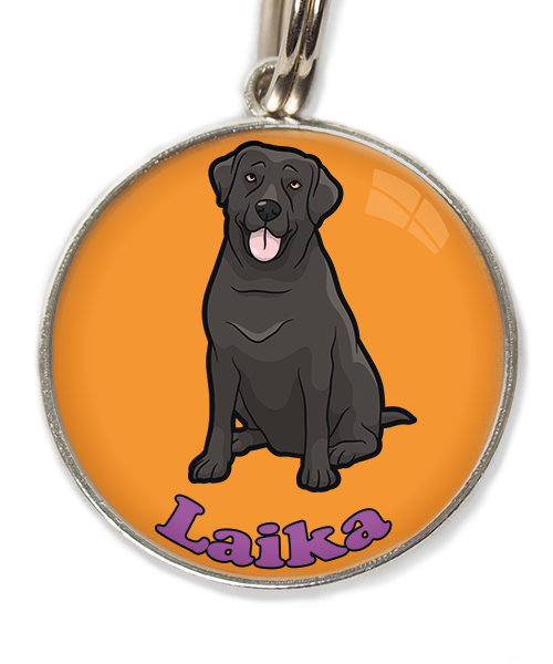 labrador-2-met-naam-los-huisdierpenning-oranje