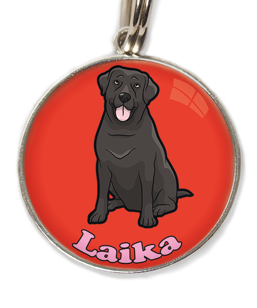 labrador-2-met-naam-los-huisdierpenning-rood