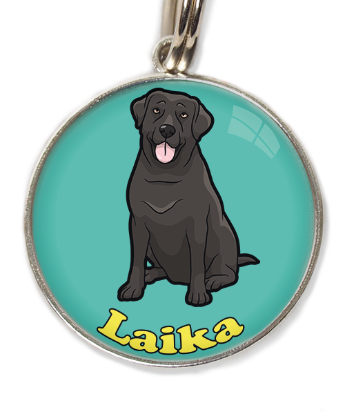 labrador-2-met-naam-los-huisdierpenning-turquoise