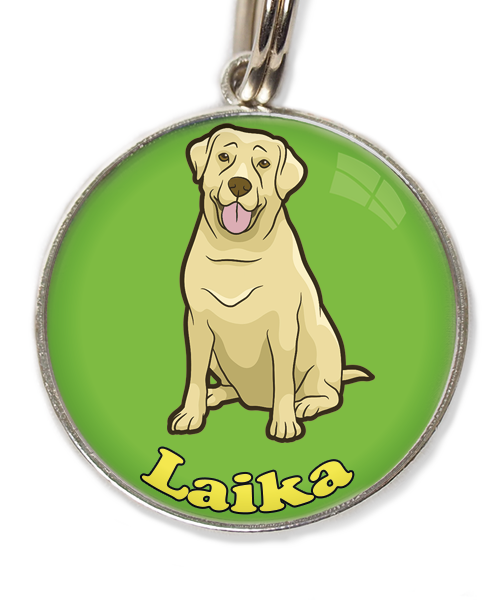 labrador-beige-2-met-naam-los-huisdierpenning-groen