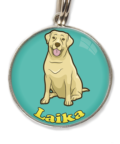 labrador-beige-2-met-naam-los-huisdierpenning-turquoise