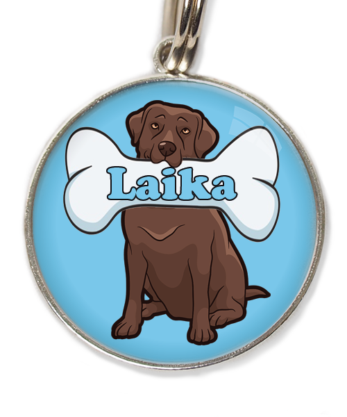 labrador2-bruin-met-naam-been-huisdierpenning-lichtblauw