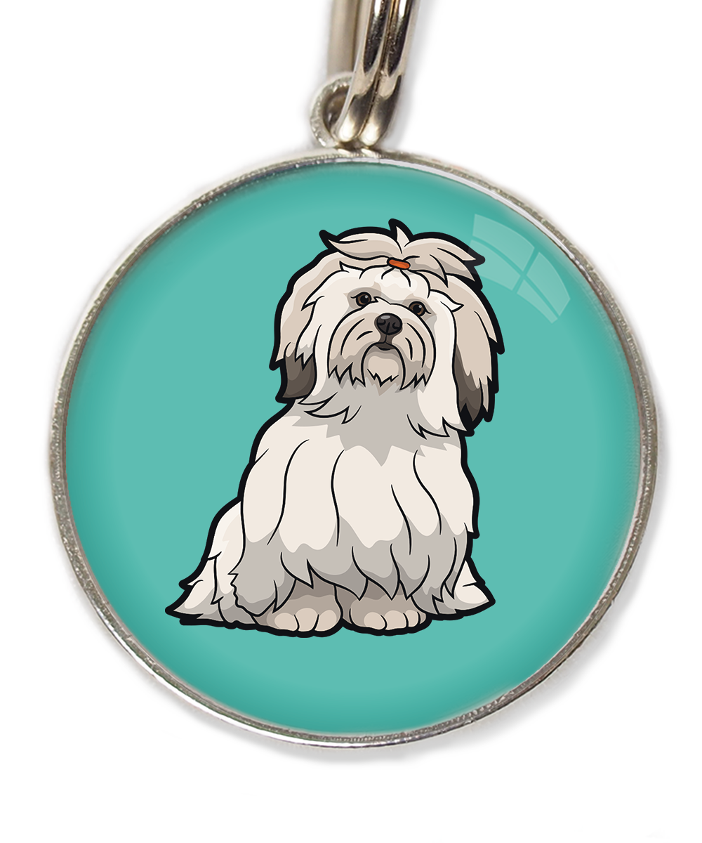 lhasa-apso-huisdierpenning-turquoise