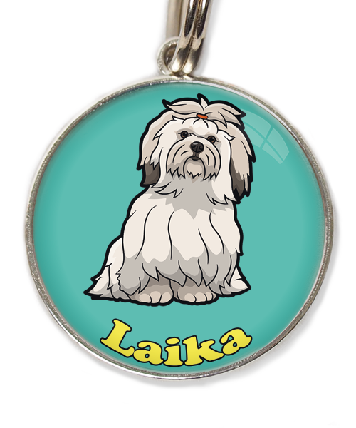 lhasa-apso-met-naam-los-huisdierpenning-turquoise