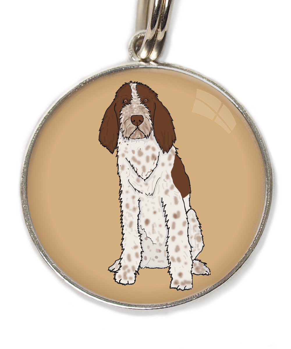 spinone-italiano-huisdierpenning-beige